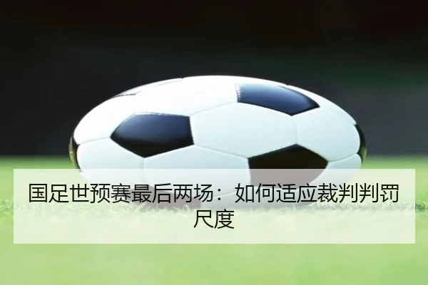国足世预赛最后两场：如何适应裁判判罚尺度
